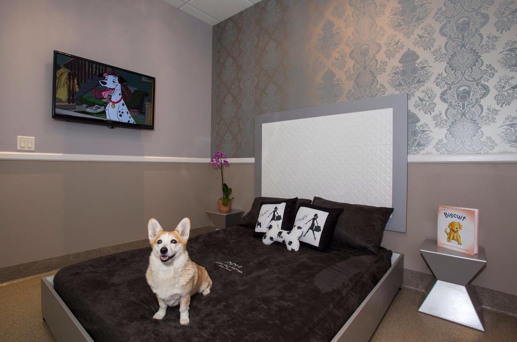 Freer Motel Extérieur photo